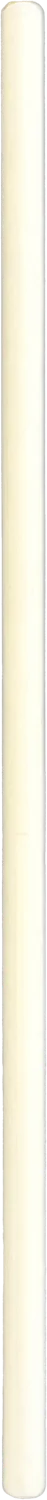 0010_S1